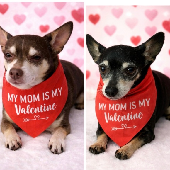 Like to be notified when I go live - Picture 2 of 4